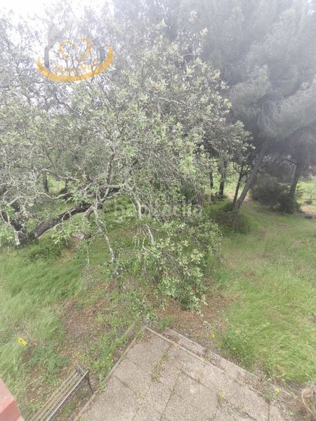 Foto d55b2413-5415-4277-9c1b-7d50e8242974. Finca rústica a Villablanca