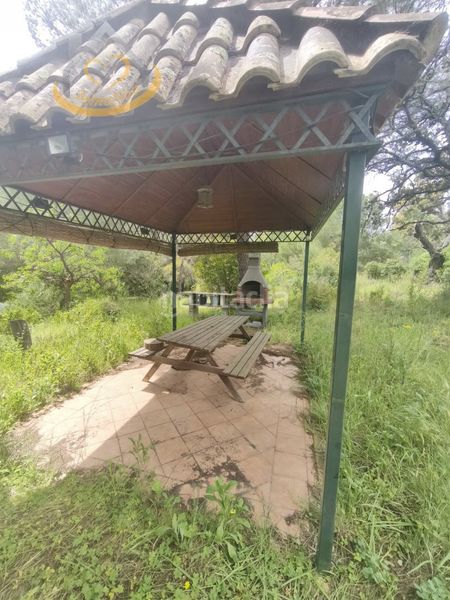 Foto de66500d-4db8-44f2-b791-a10d7534a346. Finca rústica a Villablanca