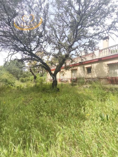 Foto f36ba82e-c6c5-49ee-a5be-a7e6b5e0399b. Finca rústica a Villablanca