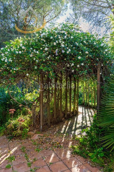 Foto 3452c204-c08f-4db7-94e9-1426c821577b. Xalet amb calefacció aparcament piscina a Dehesa - Monacilla Aljaraque