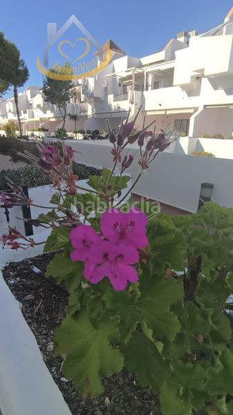 Foto 2320ff68-2905-4539-8aae-dd2da2f49159. Apartament amb xemeneia aparcament piscina a Islantilla golf Islantilla