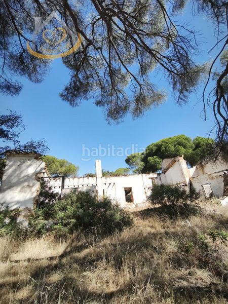 Foto 0a020191-4e70-4b9e-b2f2-a31a1f970c2e. Finca rústica a Moguer