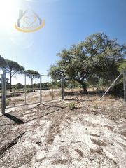 Finca rústica a Moguer