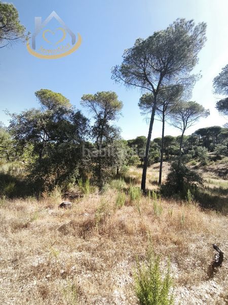 Foto 469742d8-37cf-4f00-99be-0bcdefa5cb1e. Finca rústica a Moguer