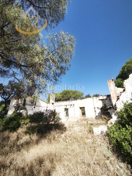 Foto 4c7ef7a1-5fd1-47fb-b94c-bf4dd6980a90. Finca rústica a Moguer
