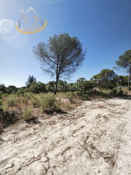 Foto 67bd9a84-db89-45e9-9592-2f9914d4db79. Finca rústica a Moguer