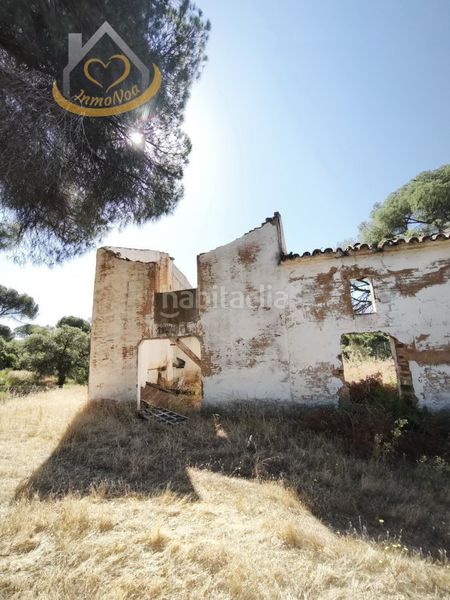 Foto 8ef6a427-20ce-432a-8d3a-4cc971751379. Finca rústica a Moguer
