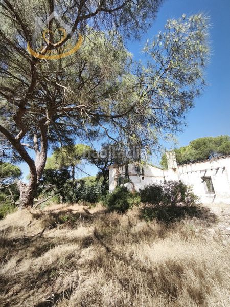 Foto 9d578882-c7c5-4487-9368-52ffcd5a329b. Finca rústica a Moguer