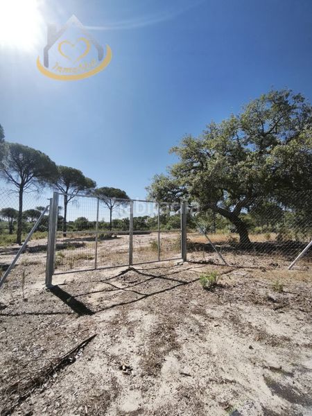 Foto a00f840e-04fa-42e4-9c0d-0cd26071ed17. Finca rústica a Moguer