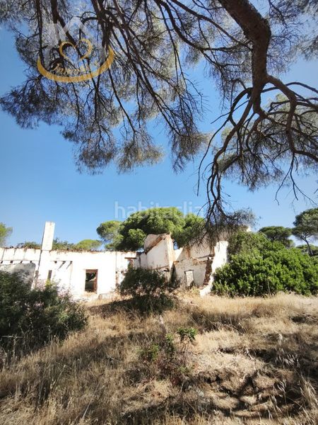 Foto a50aa0ff-8a0a-46c0-afcb-d522ebc51da9. Finca rústica a Moguer