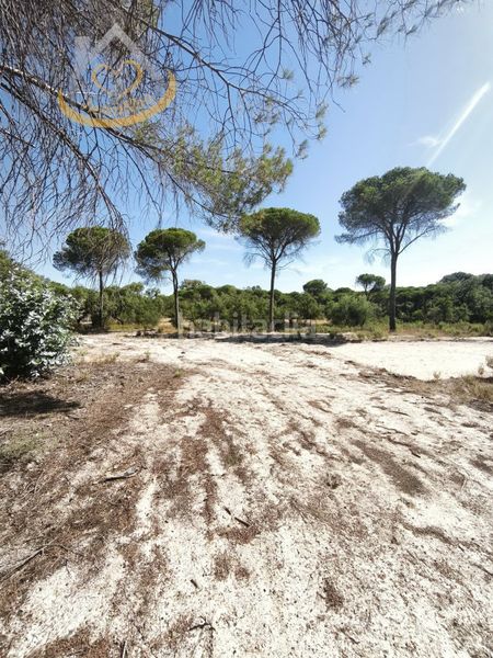 Foto aa34933b-3ab8-4d51-9378-089caa7385fc. Finca rústica a Moguer