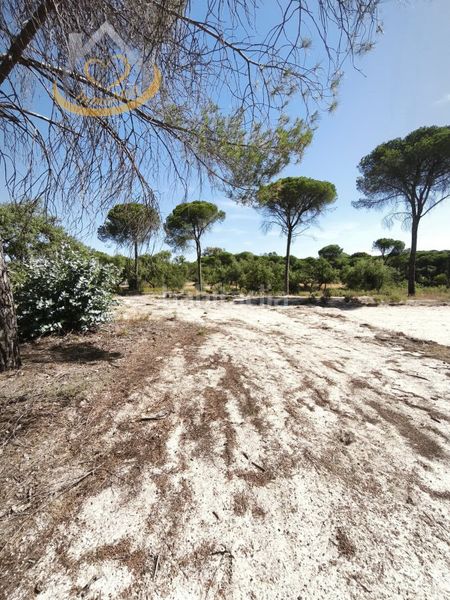 Foto f8e22d12-8536-4e34-b9f5-526f410a5820. Finca rústica a Moguer
