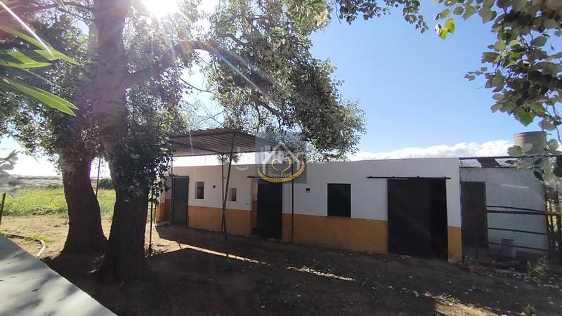 Foto 712912b5-a870-4dfe-8711-4b1fbab39856. Finca rústica magnífica finca rústica en venta (huelva) en Cartaya