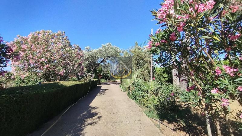 Foto a4b7254c-4a92-4ff0-a8cd-f3b5162a8cdc. Finca rústica magnífica finca rústica en venta (huelva) en Cartaya