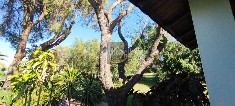 Foto feccfe92-f505-4b51-a22a-88972f36d353. Finca rústica magnífica finca rústica en venta (huelva) en Cartaya