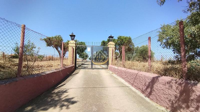 Foto 1b833030-9297-4345-b064-0d0c15116bdd. Finca rústica a San Juan del Puerto