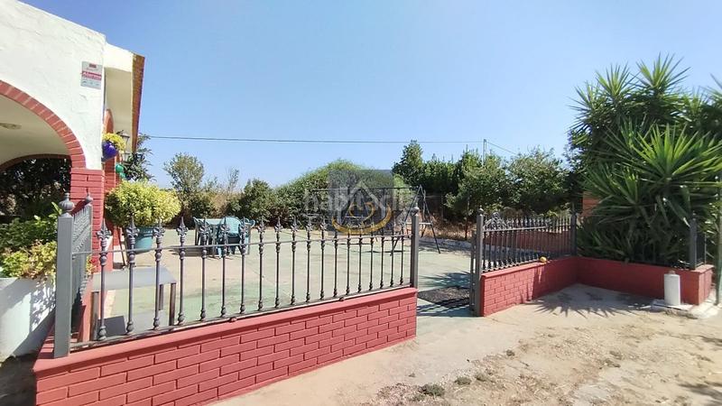 Foto 8973b13a-55ee-4ee4-88cb-d088934067da. Finca rústica a San Juan del Puerto