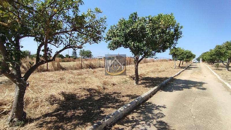 Foto 91586633-d452-47d9-ab92-3373f5e0eaf2. Finca rústica a San Juan del Puerto