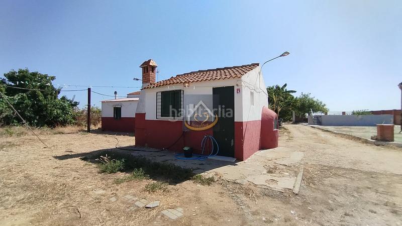 Foto 9776ae08-5507-4ac8-b980-78347f11c9fd. Finca rústica a San Juan del Puerto