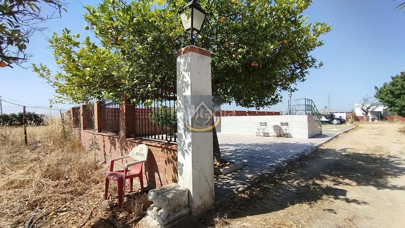 Foto 9bdd8331-27c3-44b5-99a4-7b2597eee701. Finca rústica a San Juan del Puerto