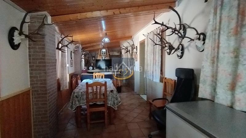 Foto 9e9242d0-765b-4436-80a7-df91685450b1. Finca rústica a San Juan del Puerto