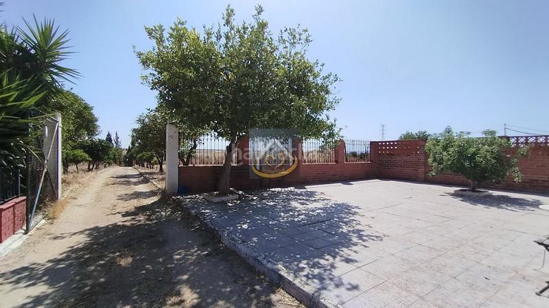 Foto ce6ff0a4-df4b-455b-b586-47d3279aebb3. Finca rústica a San Juan del Puerto