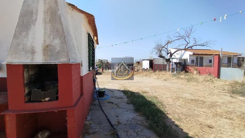 Foto d28c7cba-d7ad-458a-9358-031f5183d2f4. Finca rústica a San Juan del Puerto