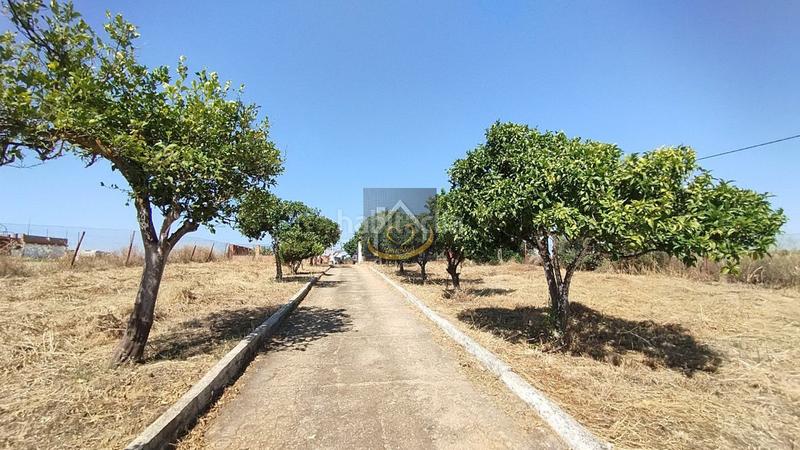 Foto f0f782cf-3175-4384-b1fb-7be3f667132a. Finca rústica a San Juan del Puerto
