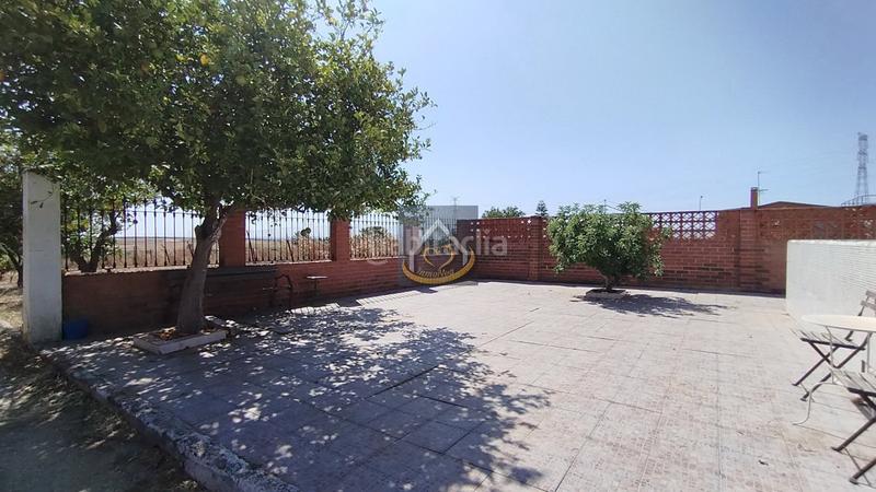 Foto f1e1b7be-1cc2-435b-9e6c-6b450525b5c6. Finca rústica a San Juan del Puerto