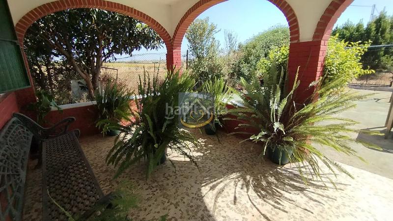 Foto fd2b707c-e0f9-46d8-9982-abdca8dafcd8. Finca rústica a San Juan del Puerto