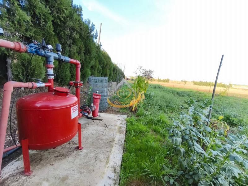 Foto 46ec399f-a929-445a-a1e4-fa3f820151d4. Finca rústica  en venta, (huelva) en Aljaraque