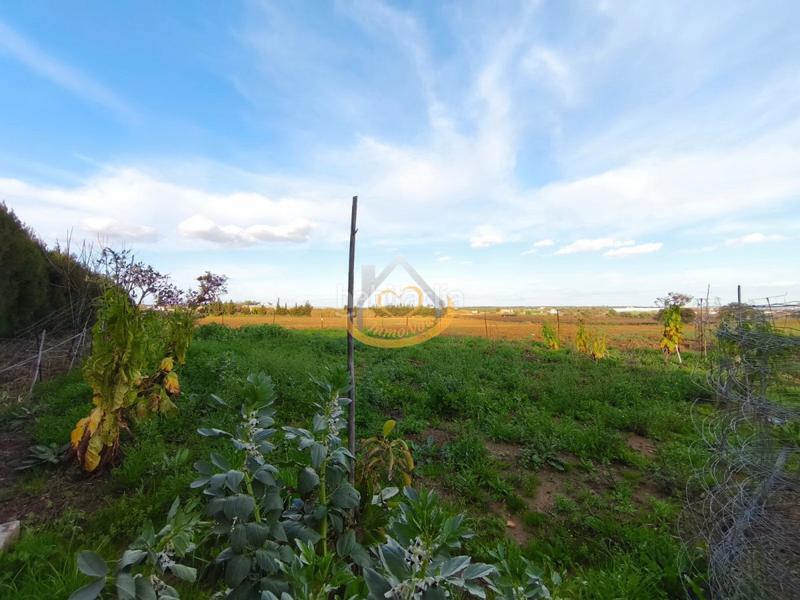 Foto 4d7bbc86-b5ba-49da-8b3f-b37c7a75b167. Finca rústica  en venta, (huelva) en Aljaraque