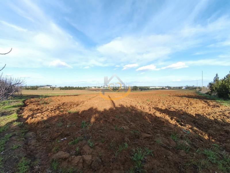 Foto 695c65c6-e353-4652-99cd-6735b259af37. Finca rústica  en venta, (huelva) en Aljaraque