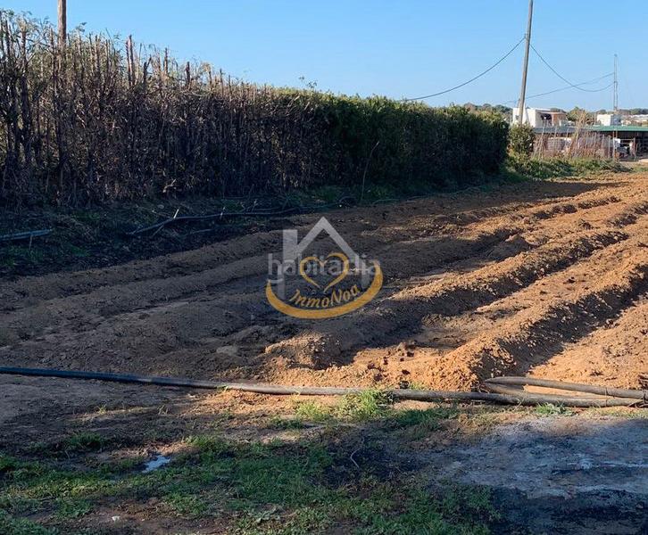 Foto 98cfb8cb-7ed8-4db8-9cd2-3c81d1329446. Finca rústica  en venta, (huelva) en Aljaraque