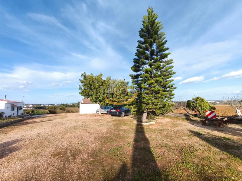 Foto b2ad3132-f96d-4a63-bff5-b978ebd03b75. Finca rústica  en venta, (huelva) en Aljaraque