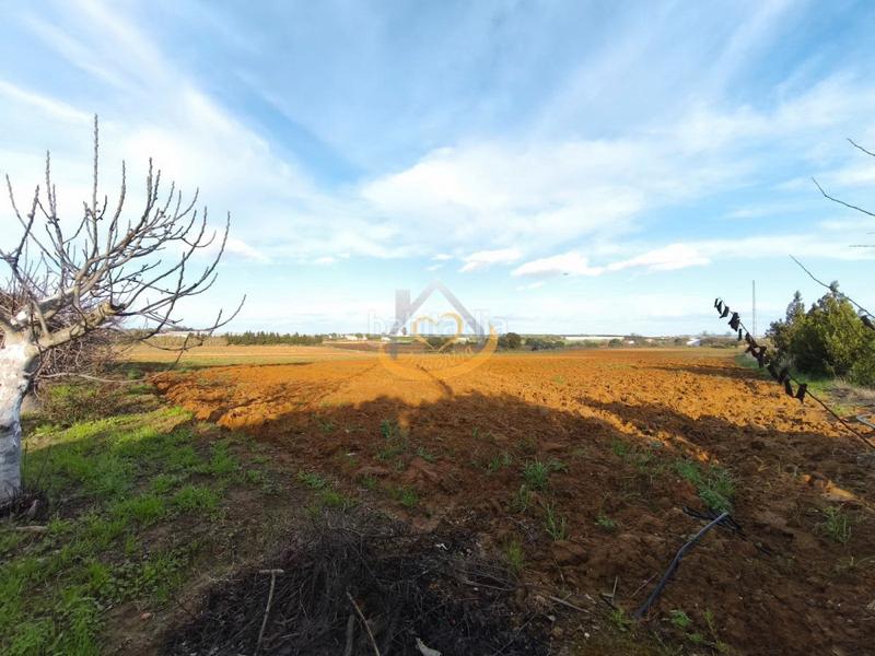 Foto b5554715-4ac1-4362-bd59-52a0f2ff912f. Finca rústica  en venta, (huelva) en Aljaraque