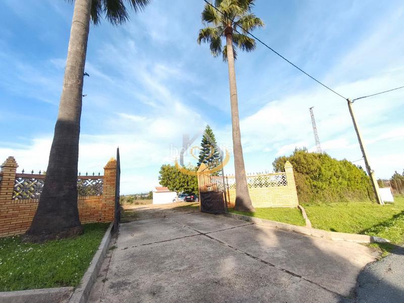 Foto c5d6b965-7101-4222-8137-1d1f7c966390. Finca rústica  en venta, (huelva) en Aljaraque