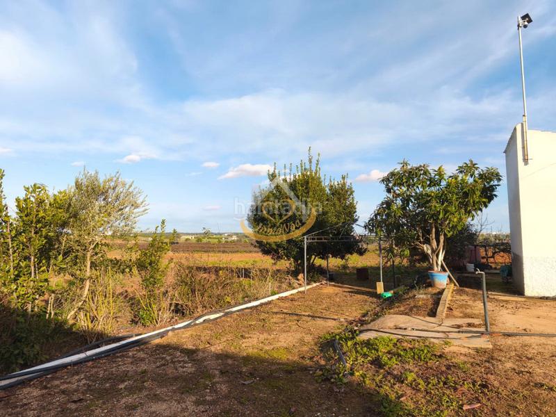 Foto ee6ae0d3-b808-4e7f-98ae-299242e68b03. Finca rústica  en venta, (huelva) en Aljaraque