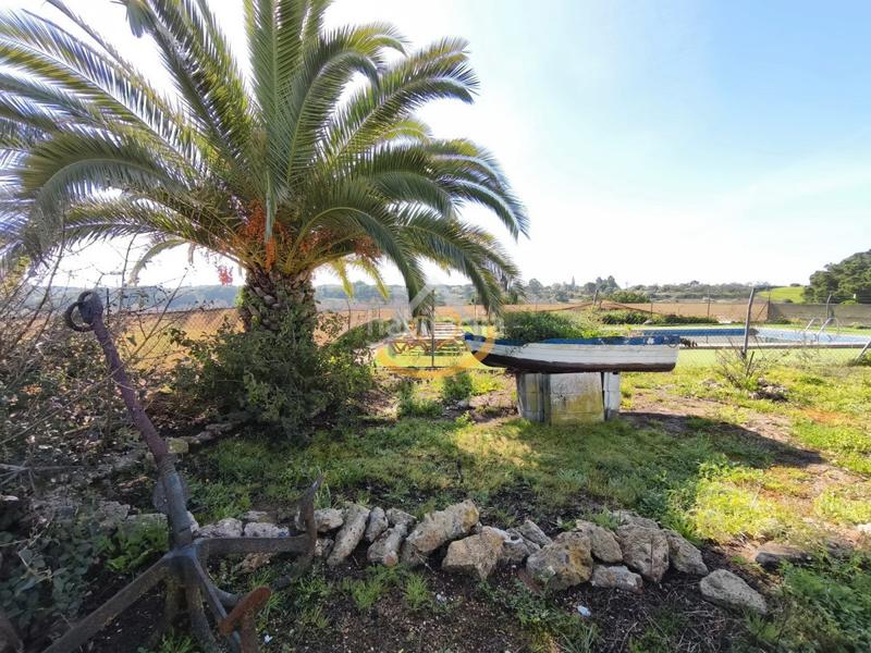 Foto 3852f58a-e8df-4a2d-8890-8128c9b35053. Finca rústica en diseminado diseminados 815 magnífica finca rústica en venta (huelva) en Cartaya