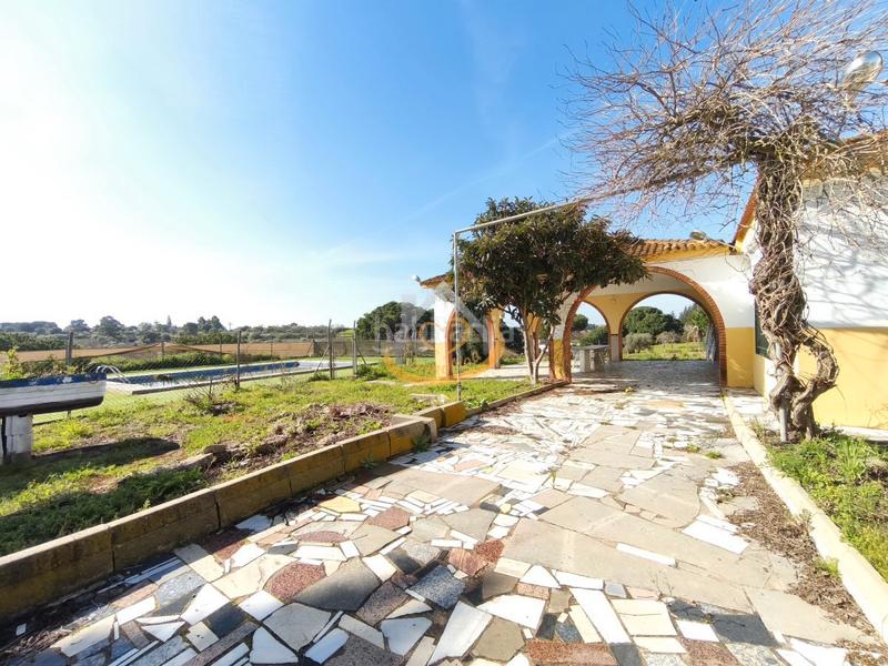 Foto 8e634607-462e-4300-9f52-04ffe229f296. Finca rústica en diseminado diseminados 815 magnífica finca rústica en venta (huelva) en Cartaya