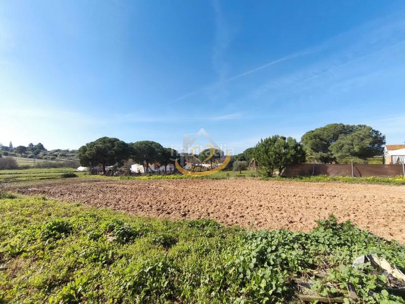 Foto 93e0b5a4-400c-469e-92eb-8cd8b9b9332e. Finca rústica en diseminado diseminados 815 magnífica finca rústica en venta (huelva) en Cartaya