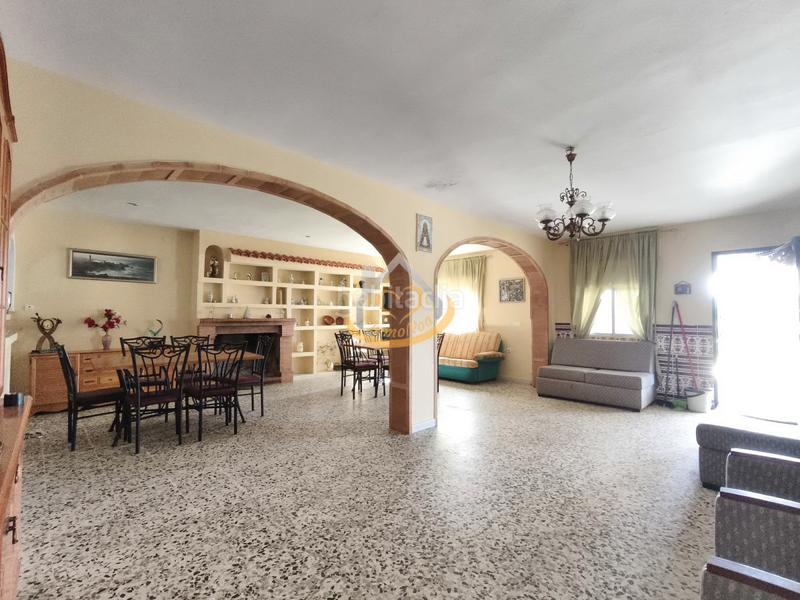Foto aeb63176-2440-49d8-b859-d549dfed1519. Finca rústica en diseminado diseminados 815 magnífica finca rústica en venta (huelva) en Cartaya