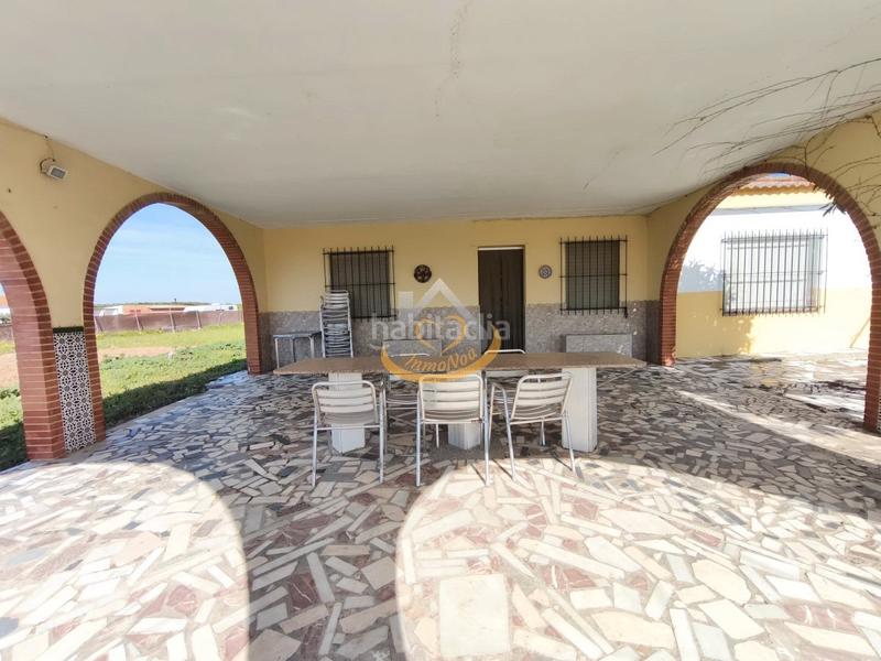 Foto ed32b5ca-b4ad-4f76-94fa-cda7f29962bd. Finca rústica en diseminado diseminados 815 magnífica finca rústica en venta (huelva) en Cartaya