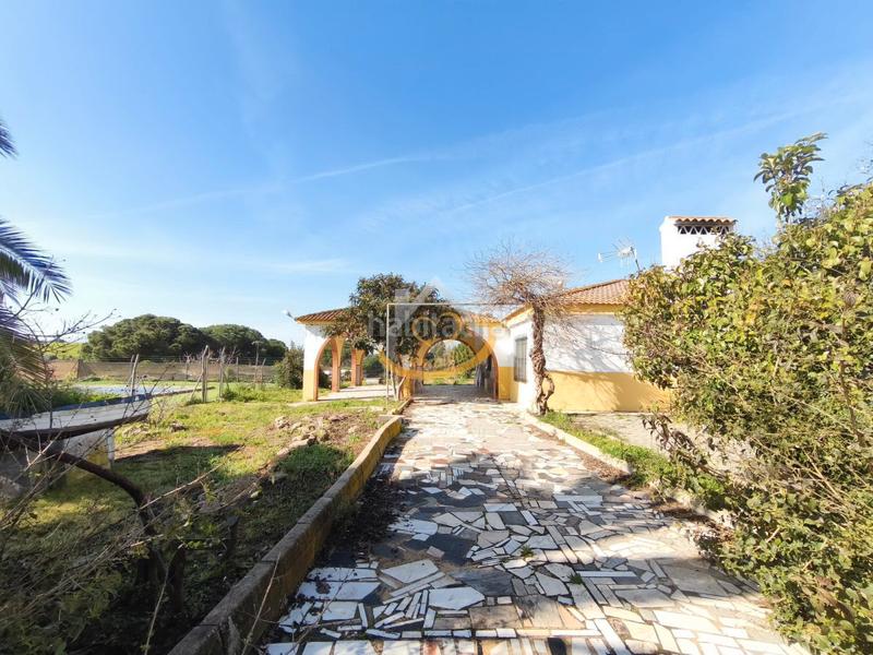 Foto f3c225d2-ab06-4181-8193-619e7489e6ec. Finca rústica en diseminado diseminados 815 magnífica finca rústica en venta (huelva) en Cartaya
