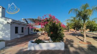 Finca rústica en Diseminado fotea 49. Finca rústica en venta en ayamonte  zona alto don gaspar