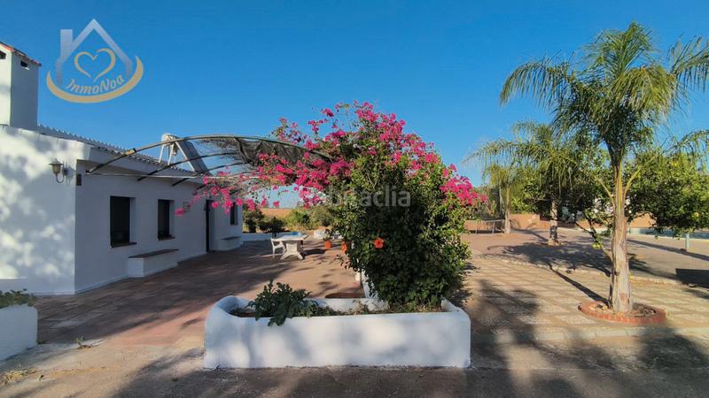 Foto 0549b8be-4226-4c3a-9f1d-f55af4c0ddc7. Fondo rustico in diseminado fotea 49 in Ayamonte ciudad Ayamonte