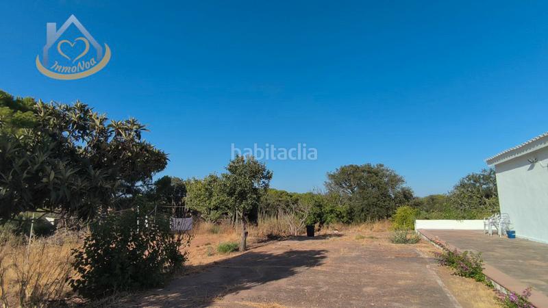 Foto 0cab1e75-e434-4856-88e4-61810834c100. Fondo rustico in diseminado fotea 49 in Ayamonte ciudad Ayamonte