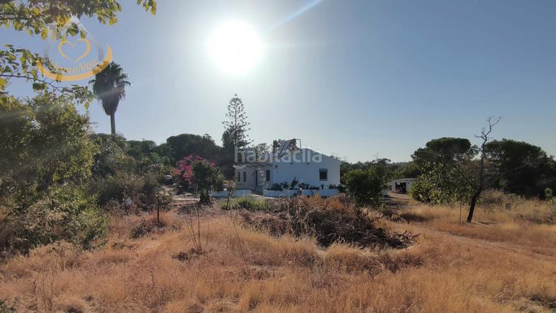 Foto 23c1bf04-f9a0-49f8-8641-a6eba74930e0. Fondo rustico in diseminado fotea 49 in Ayamonte ciudad Ayamonte