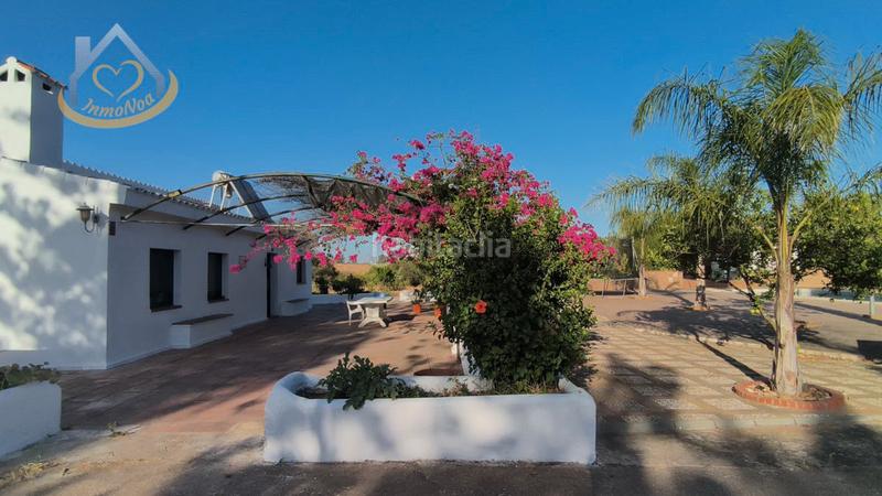 Foto 38ceff68-9bcf-4e12-98b8-61277e38d45d. Fondo rustico in diseminado fotea 49 in Ayamonte ciudad Ayamonte