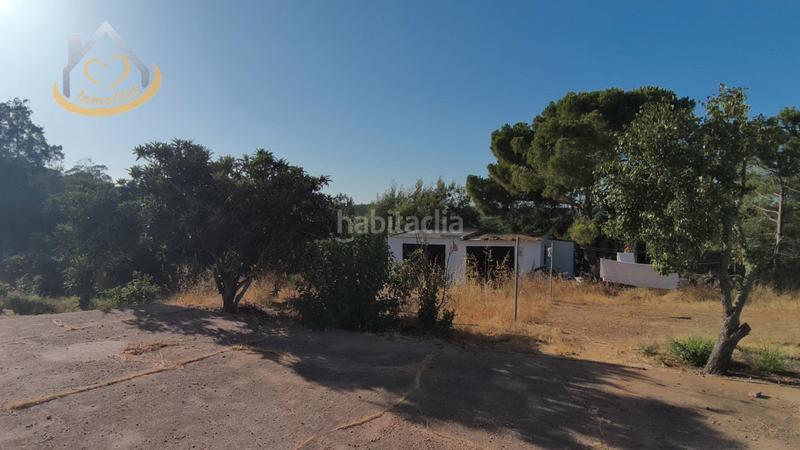 Foto 8a049b77-ce4e-4b8a-9be7-1408e9270eaa. Fondo rustico in diseminado fotea 49 in Ayamonte ciudad Ayamonte